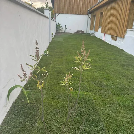 Apartamento L'orangerie *