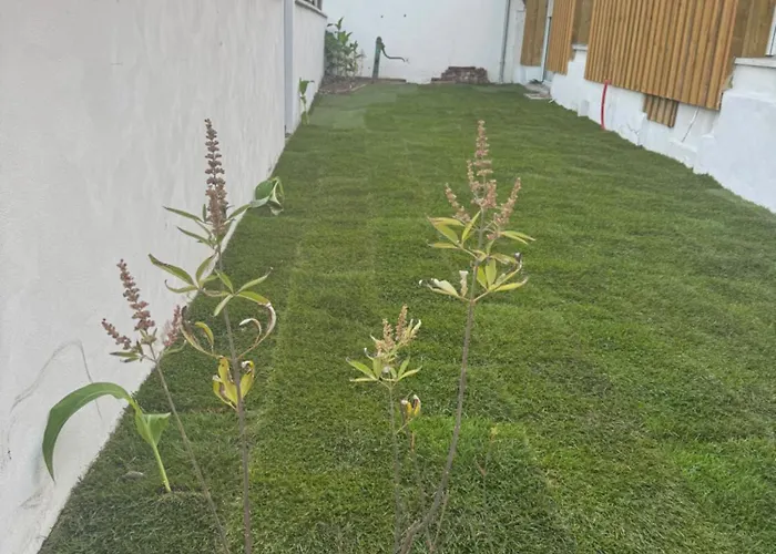 Appartement L'orangerie *